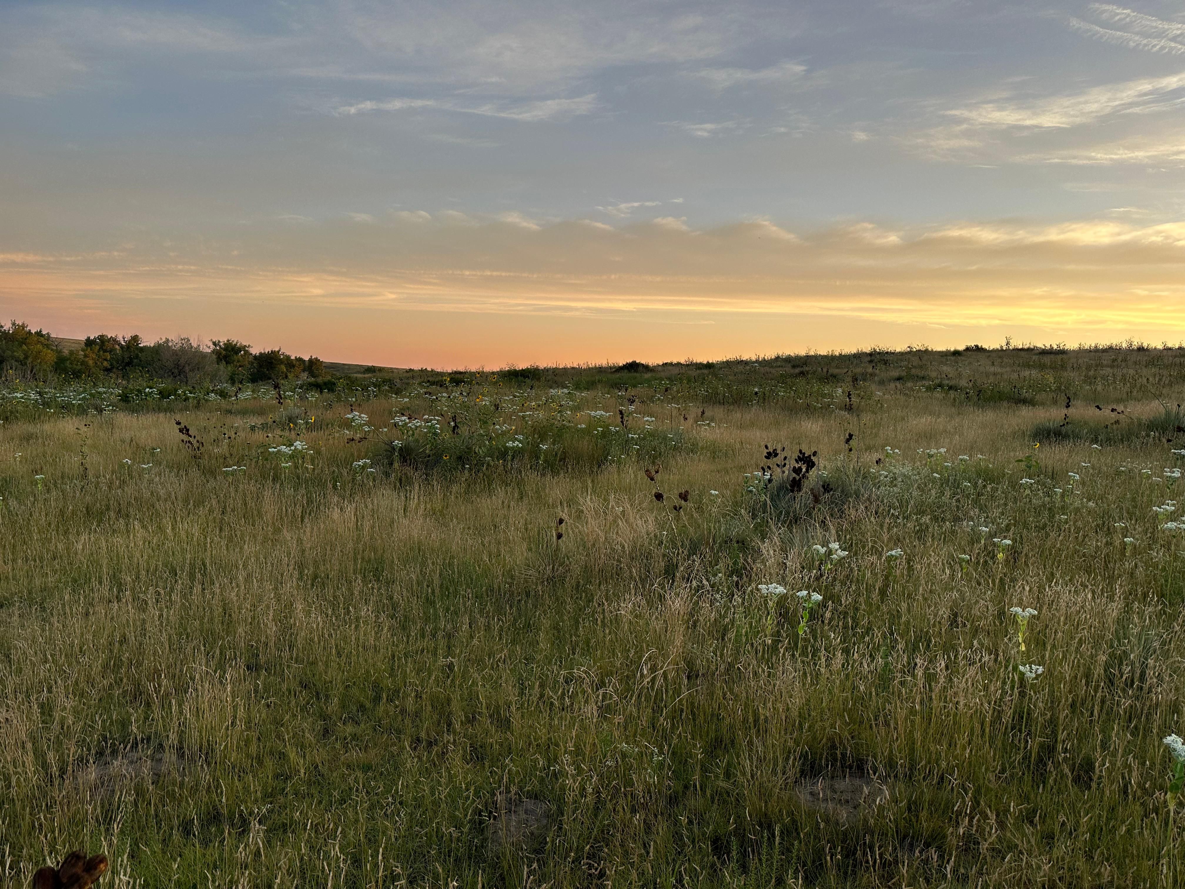 400 acres in Healy, KS, 67850 LandWatch