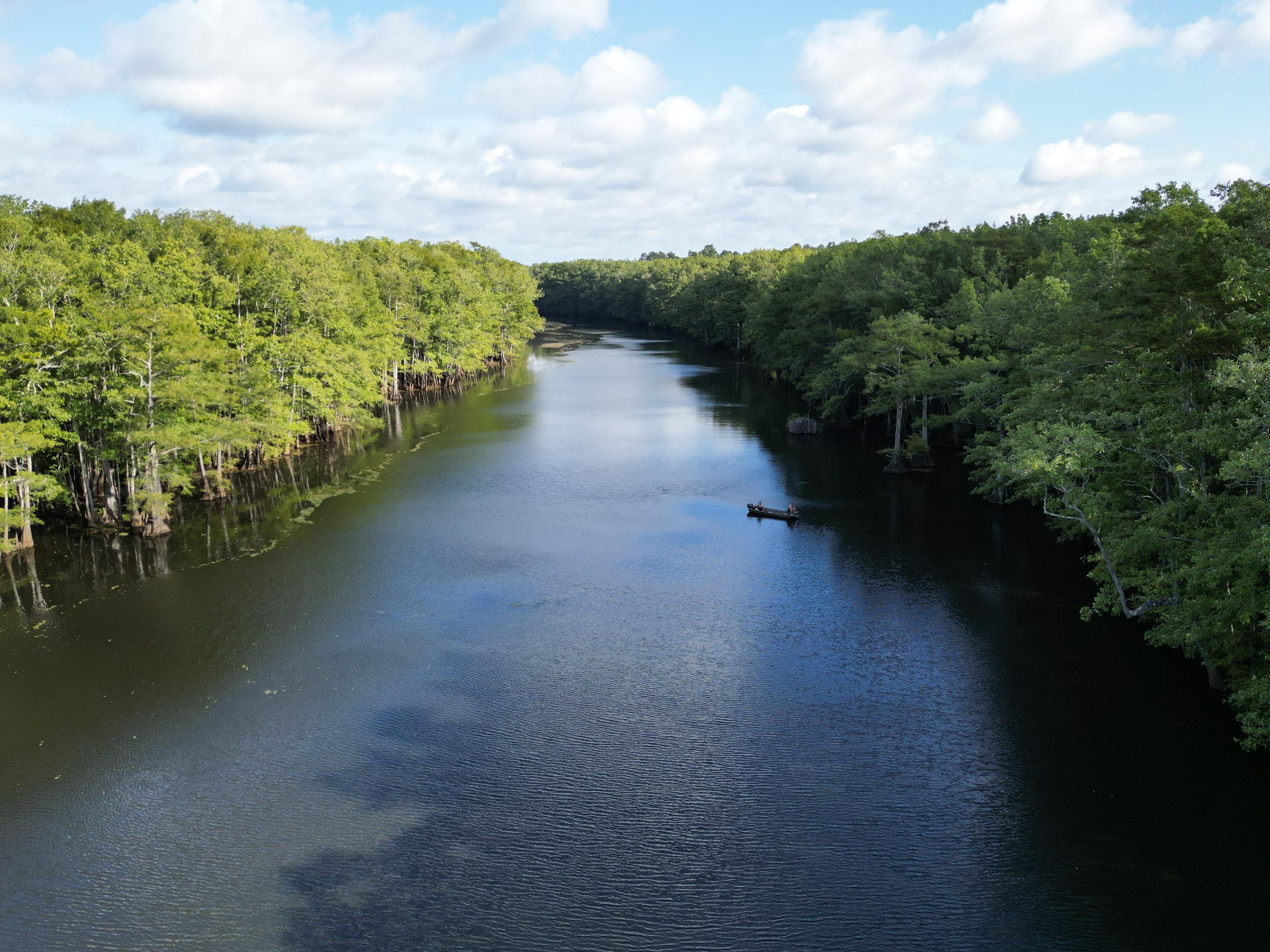 Forest Hill, Rapides Parish, LA Recreational Property, Undeveloped Land