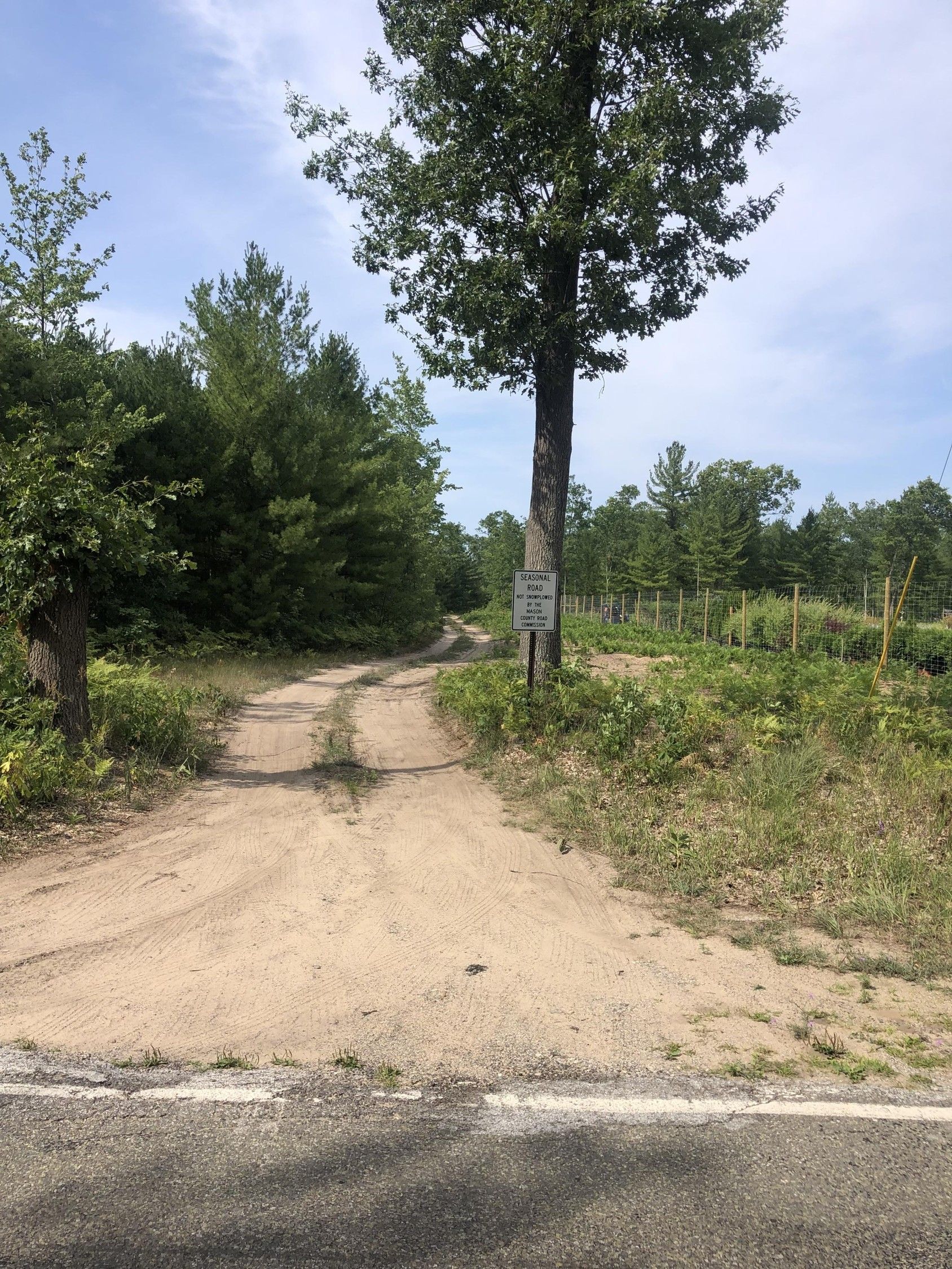 Free Soil, Mason County, MI Undeveloped Land for sale Property ID