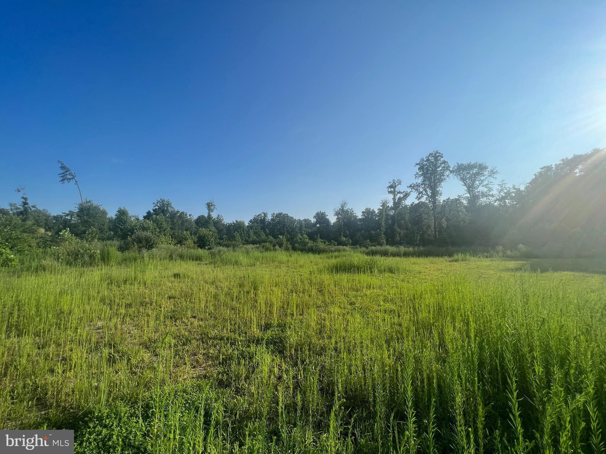 Camden, Kent County, DE Undeveloped Land for sale Property ID
