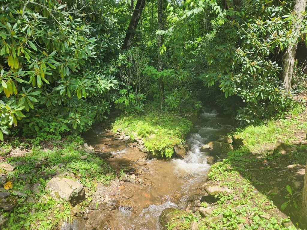 Sylva, Jackson County, NC Lakefront Property, Waterfront Property