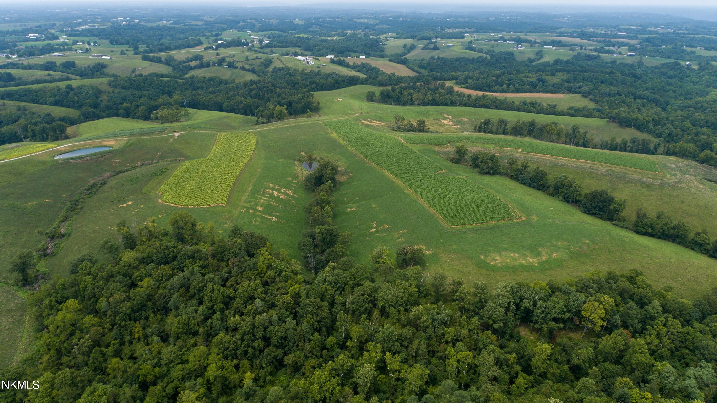 Brooksville, Bracken County, KY Farms and Ranches, Lakefront Property