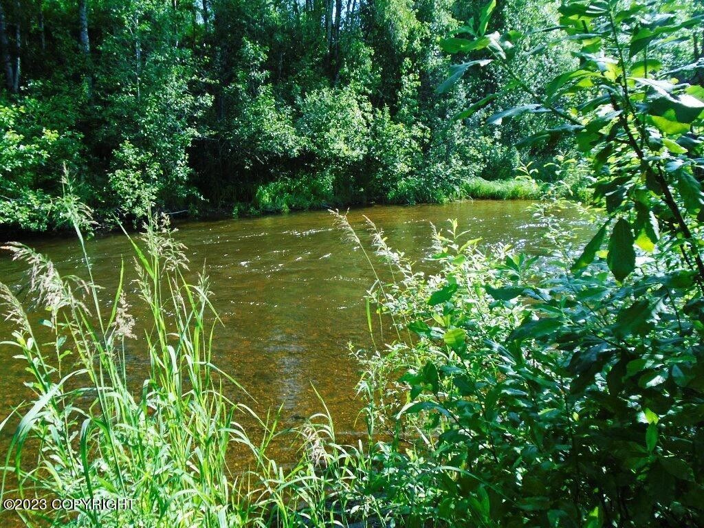 Talkeetna, MatanuskaSusitna Borough, AK Undeveloped Land, Lakefront