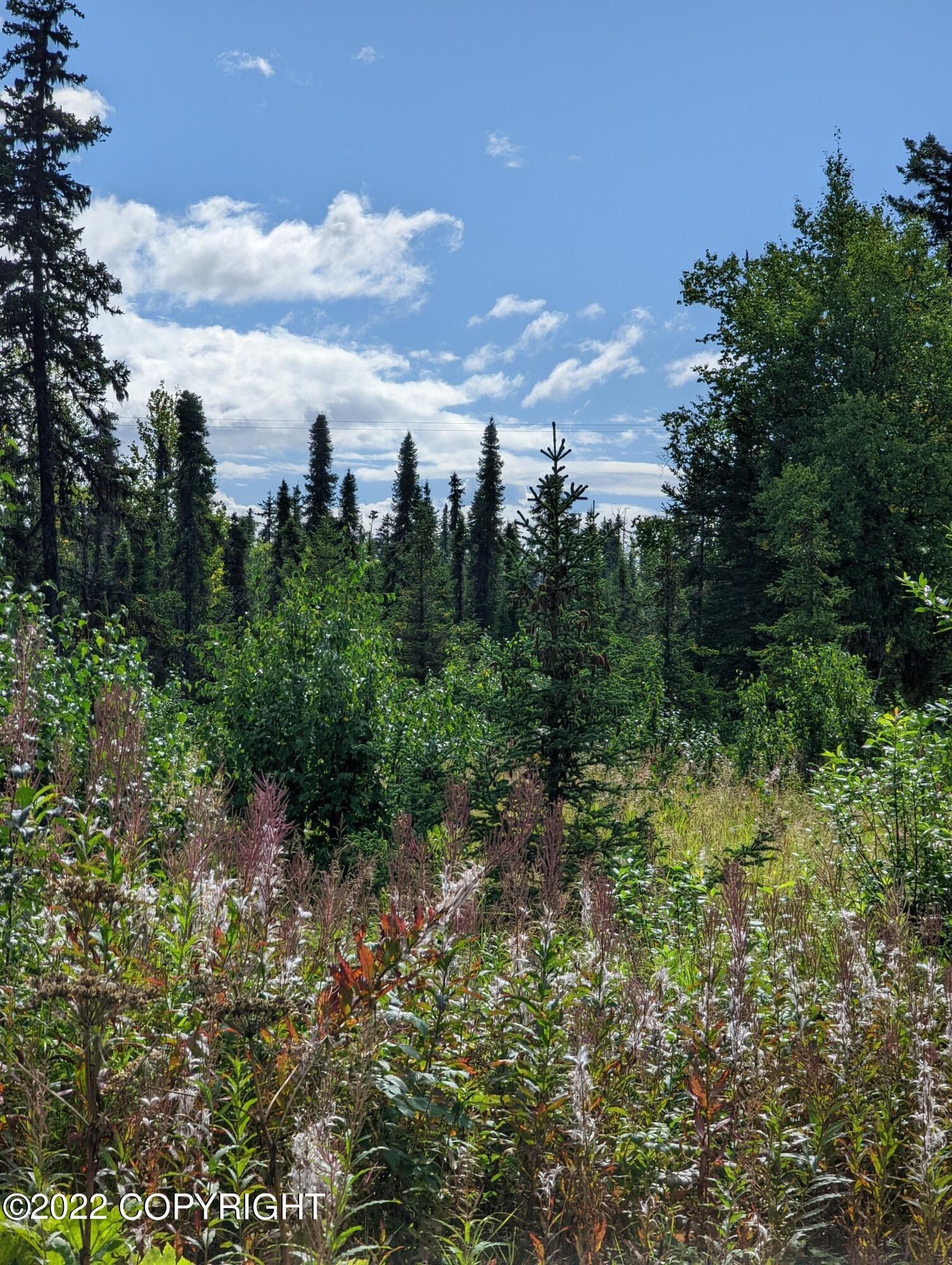 Anchor Point, Kenai Peninsula Borough, AK Undeveloped Land for sale