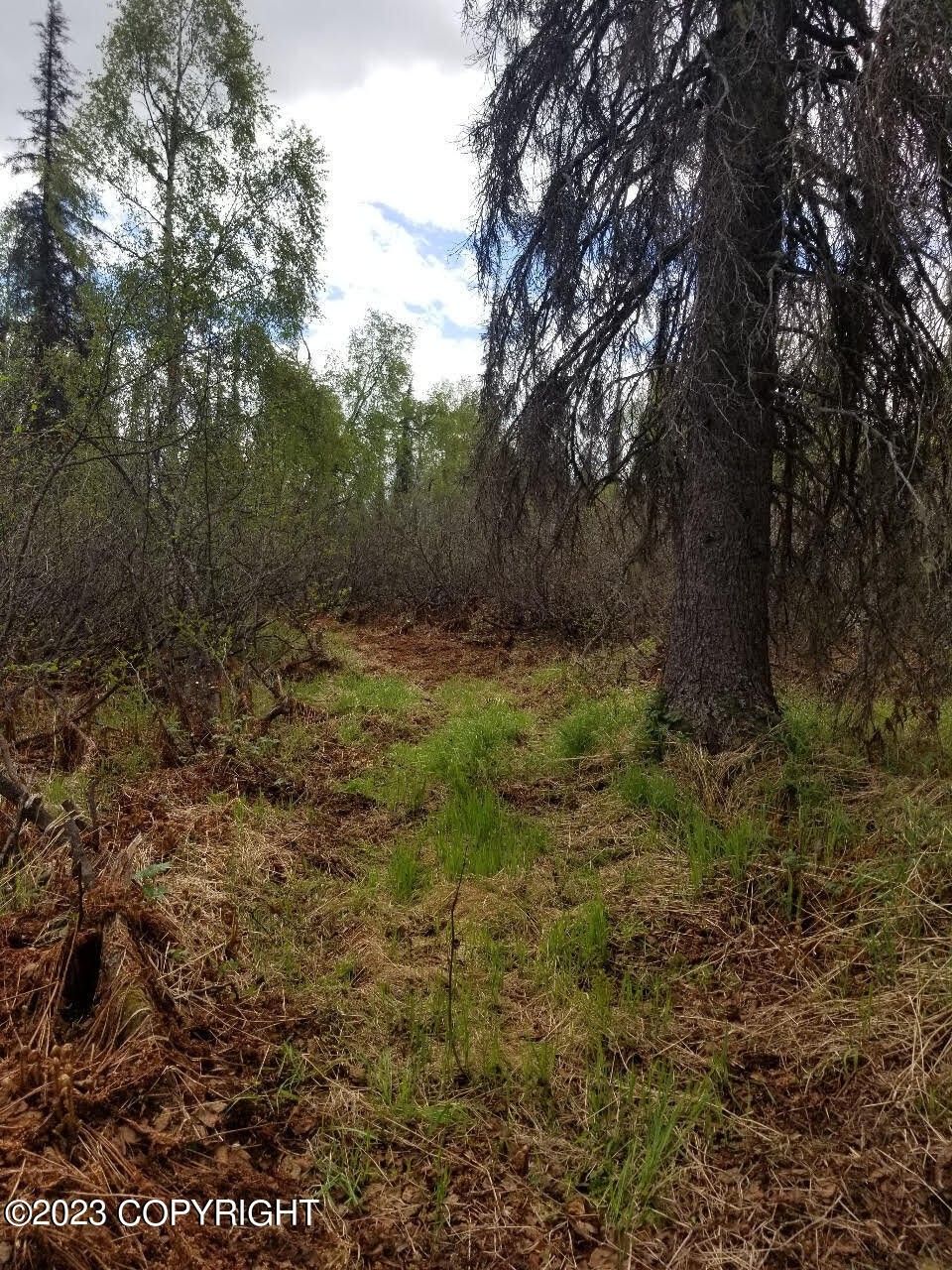 Trapper Creek, MatanuskaSusitna Borough, AK Undeveloped Land