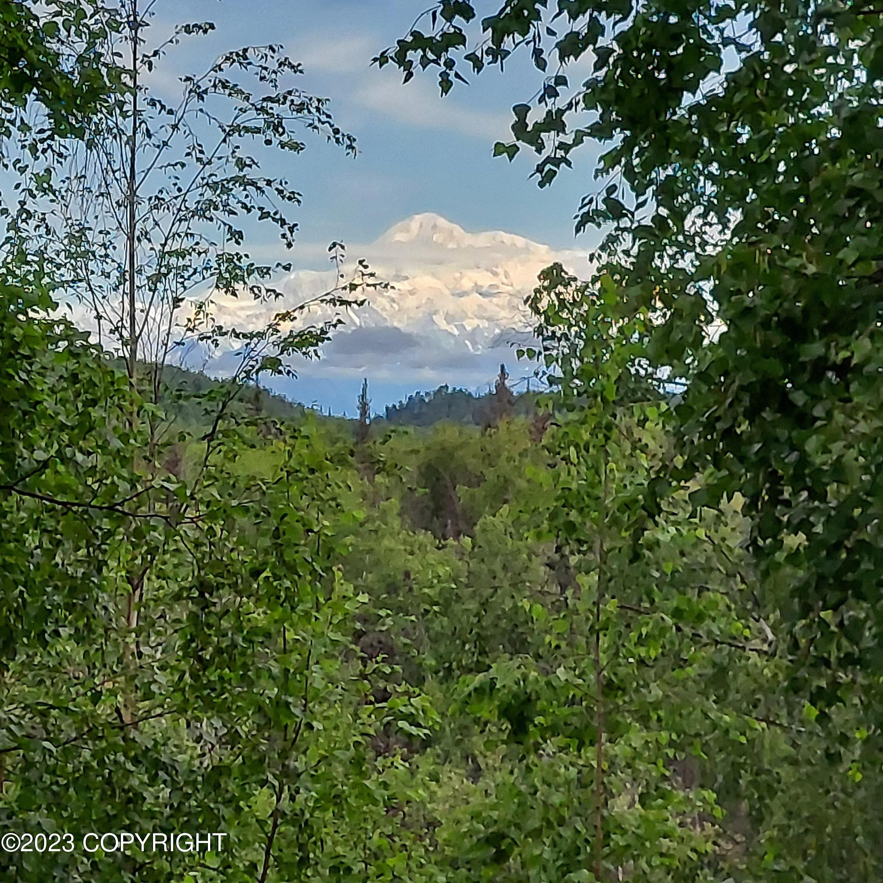Talkeetna, MatanuskaSusitna Borough, AK Undeveloped Land, Lakefront