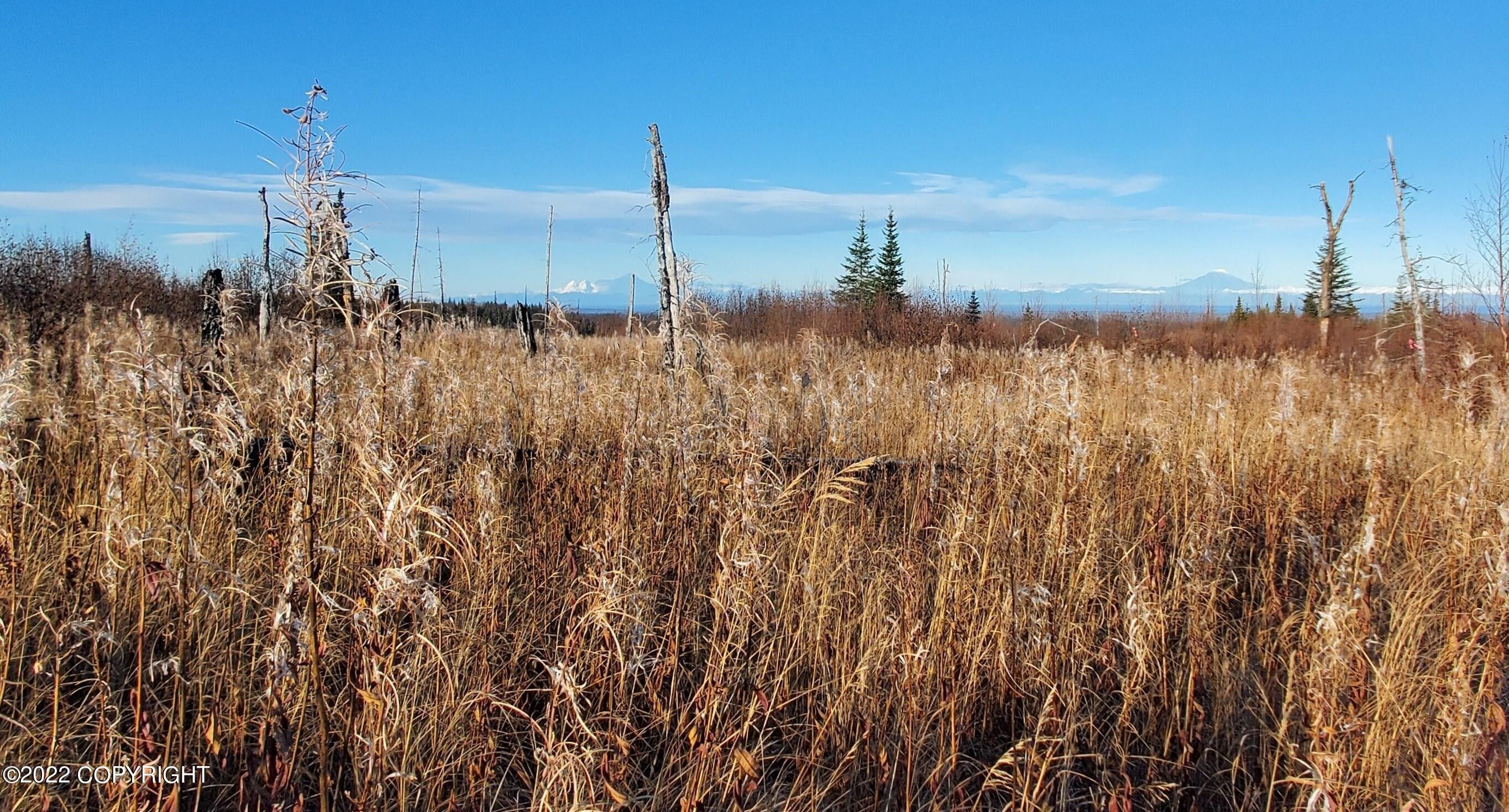 Ninilchik, Kenai Peninsula Borough, AK Undeveloped Land for sale