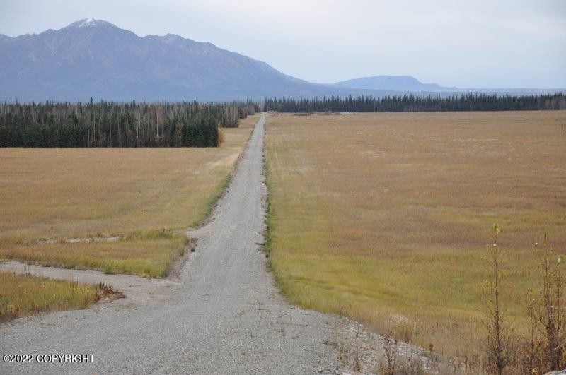 Nhn Rapeseed Way, Delta Junction, AK 99737 MLS 223433 LandWatch