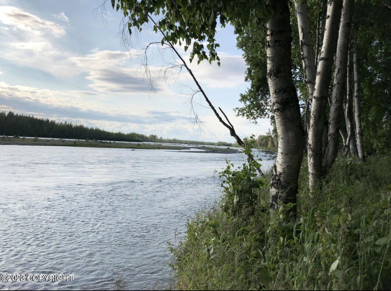 Willow, MatanuskaSusitna Borough, AK Undeveloped Land, Lakefront