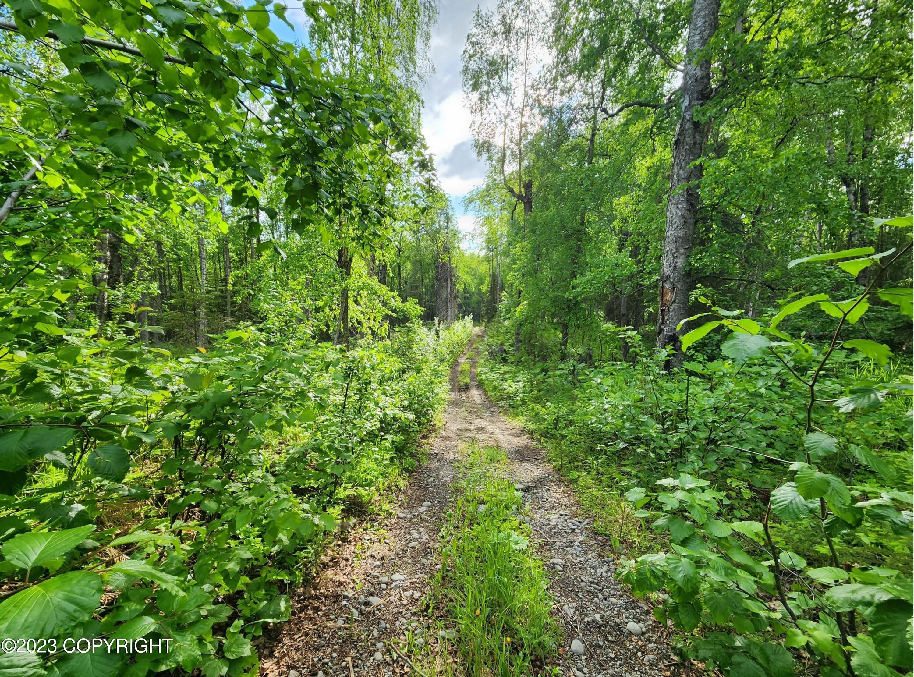 Big Lake, MatanuskaSusitna Borough, AK Farms and Ranches for sale