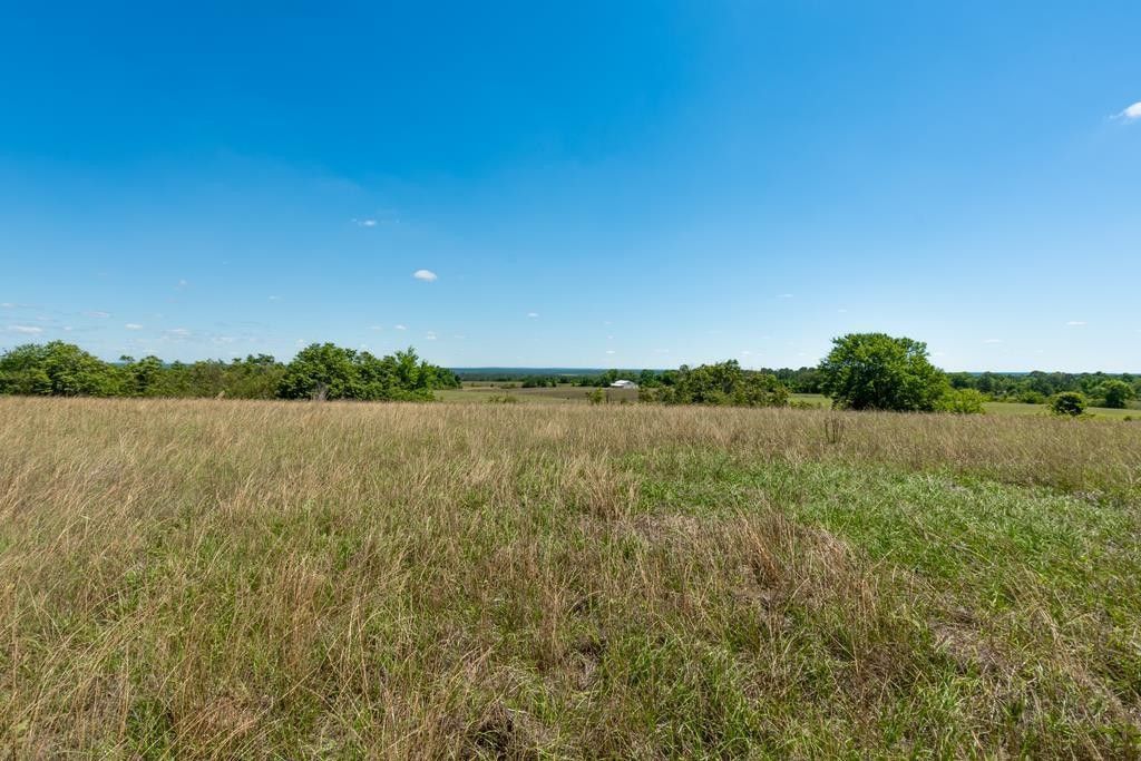 Mauk, Taylor County, GA Undeveloped Land for sale Property ID