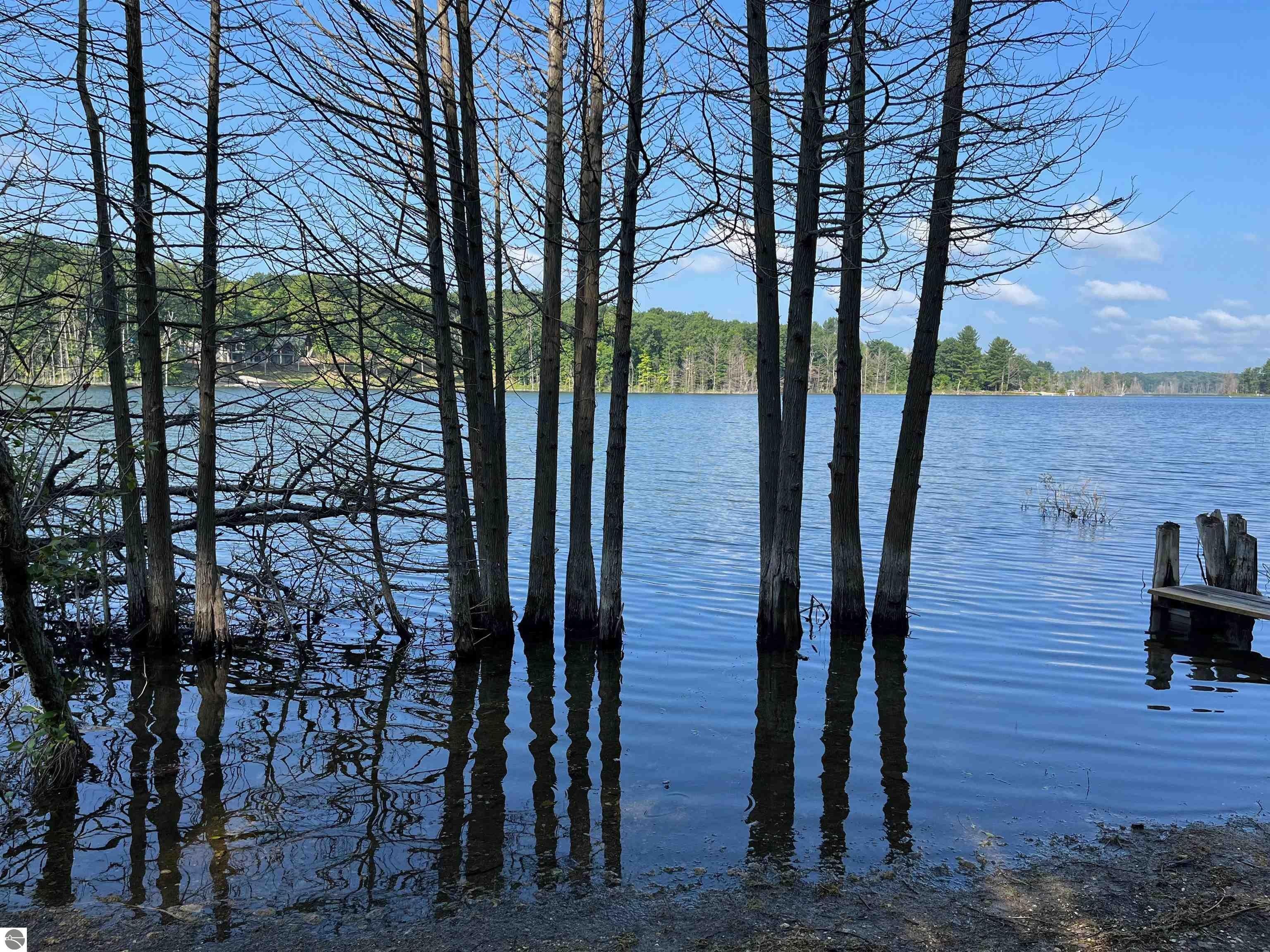 Lake Ann, Benzie County, MI Undeveloped Land, Lakefront Property