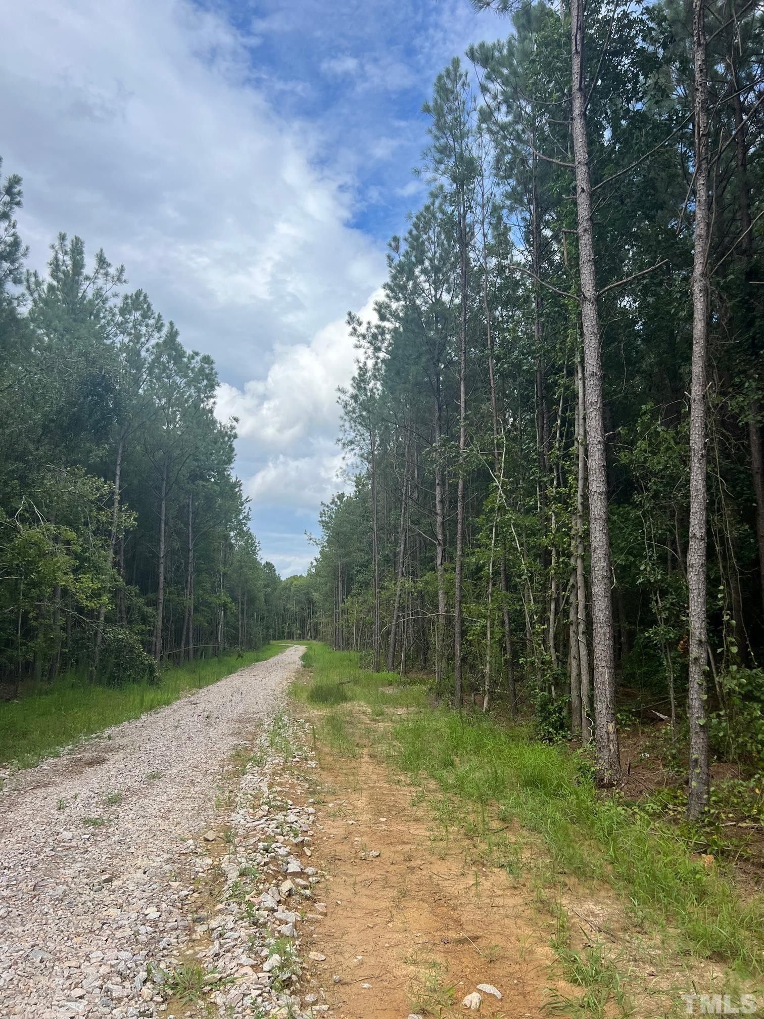 Spring Hope, Nash County, NC Undeveloped Land for sale Property ID