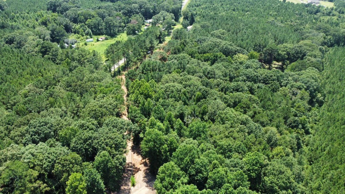 Walnut Grove, Leake County, MS Recreational Property, Timberland