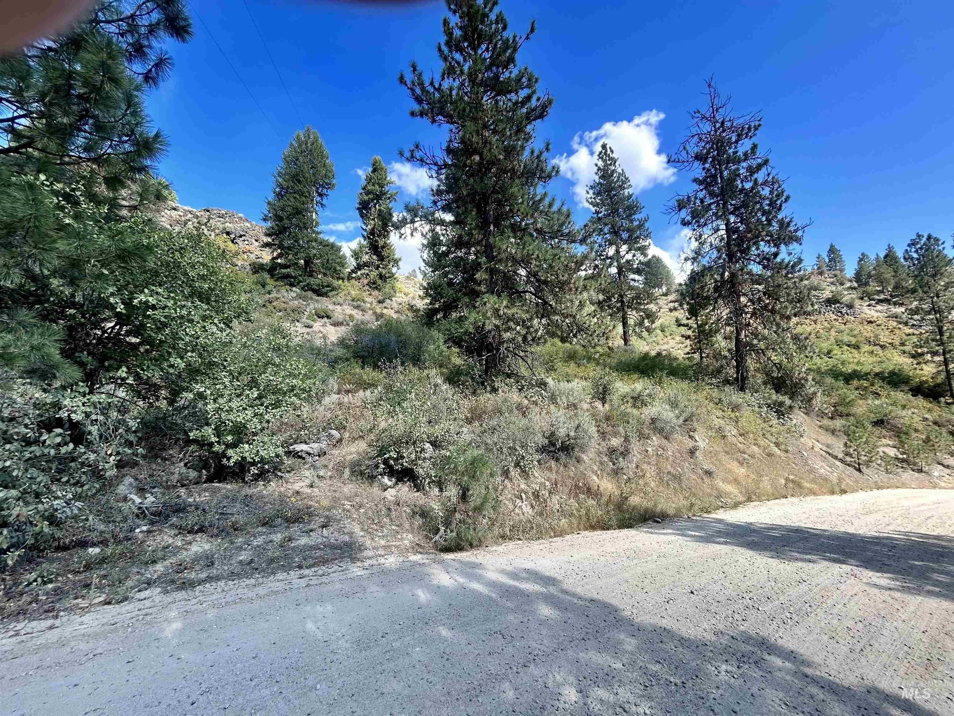 Boise, Boise County, ID Undeveloped Land, Homesites for sale Property