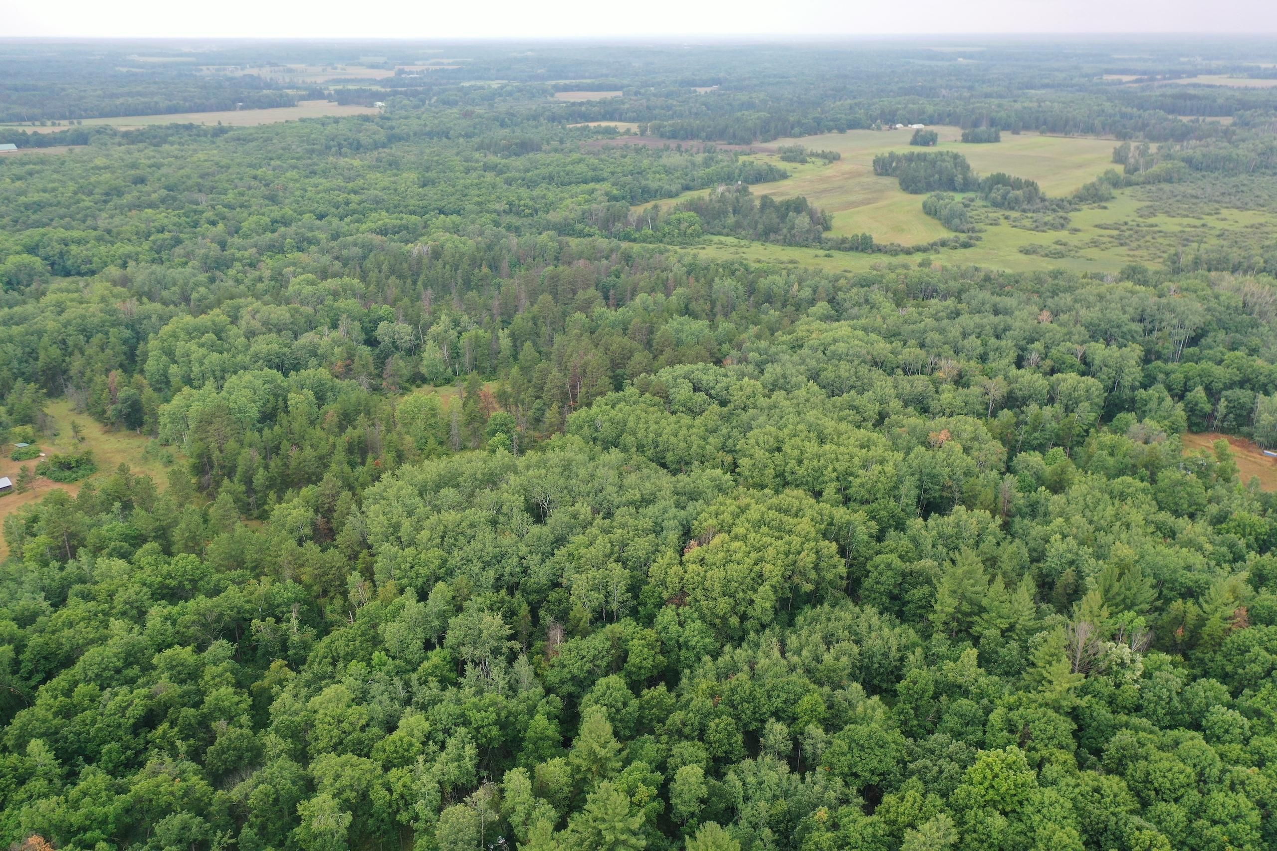 Verndale, Wadena County, MN Recreational Property, Hunting Property for