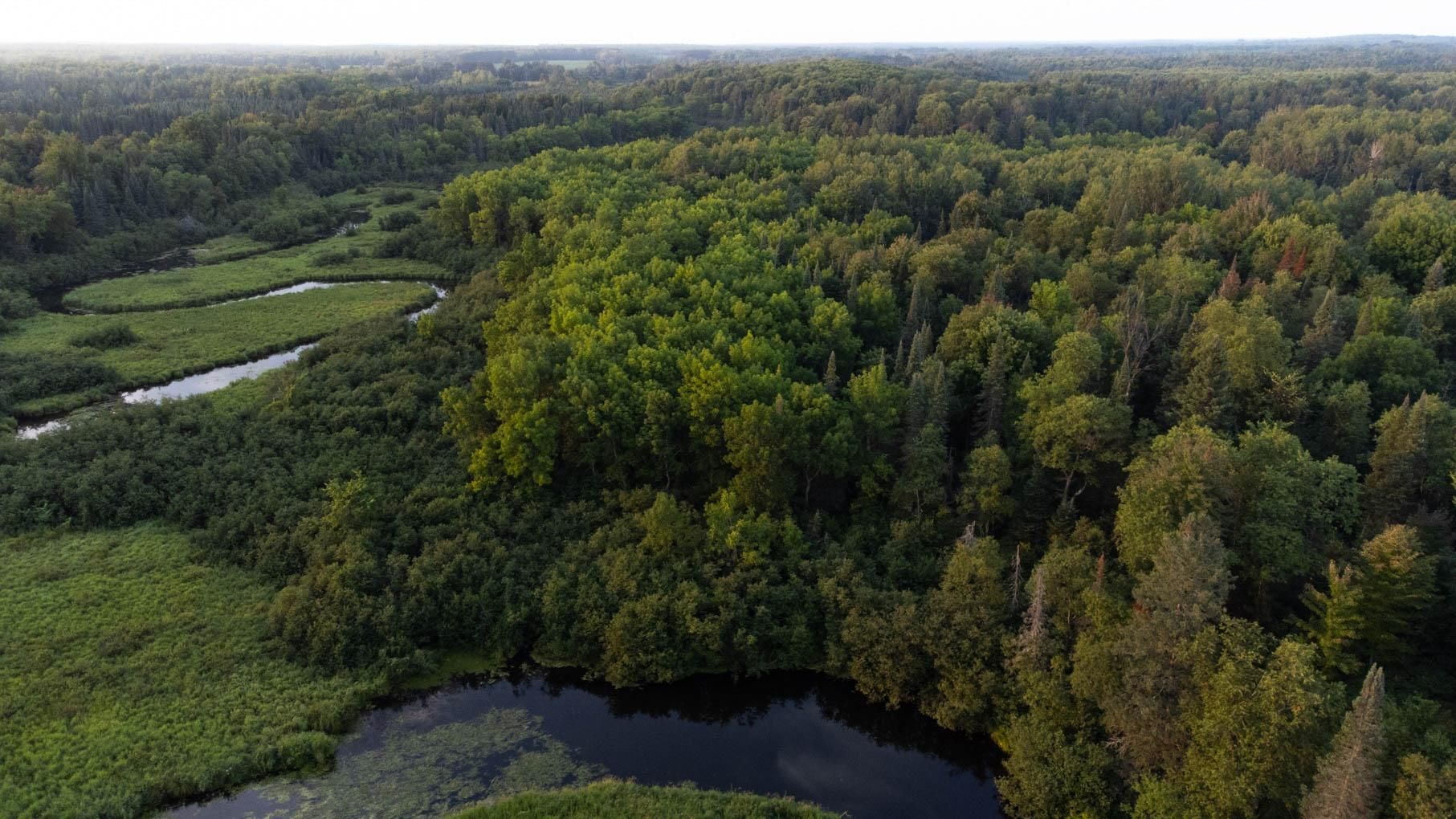 Hay Creek Rd, Prentice, WI 54556 LandWatch