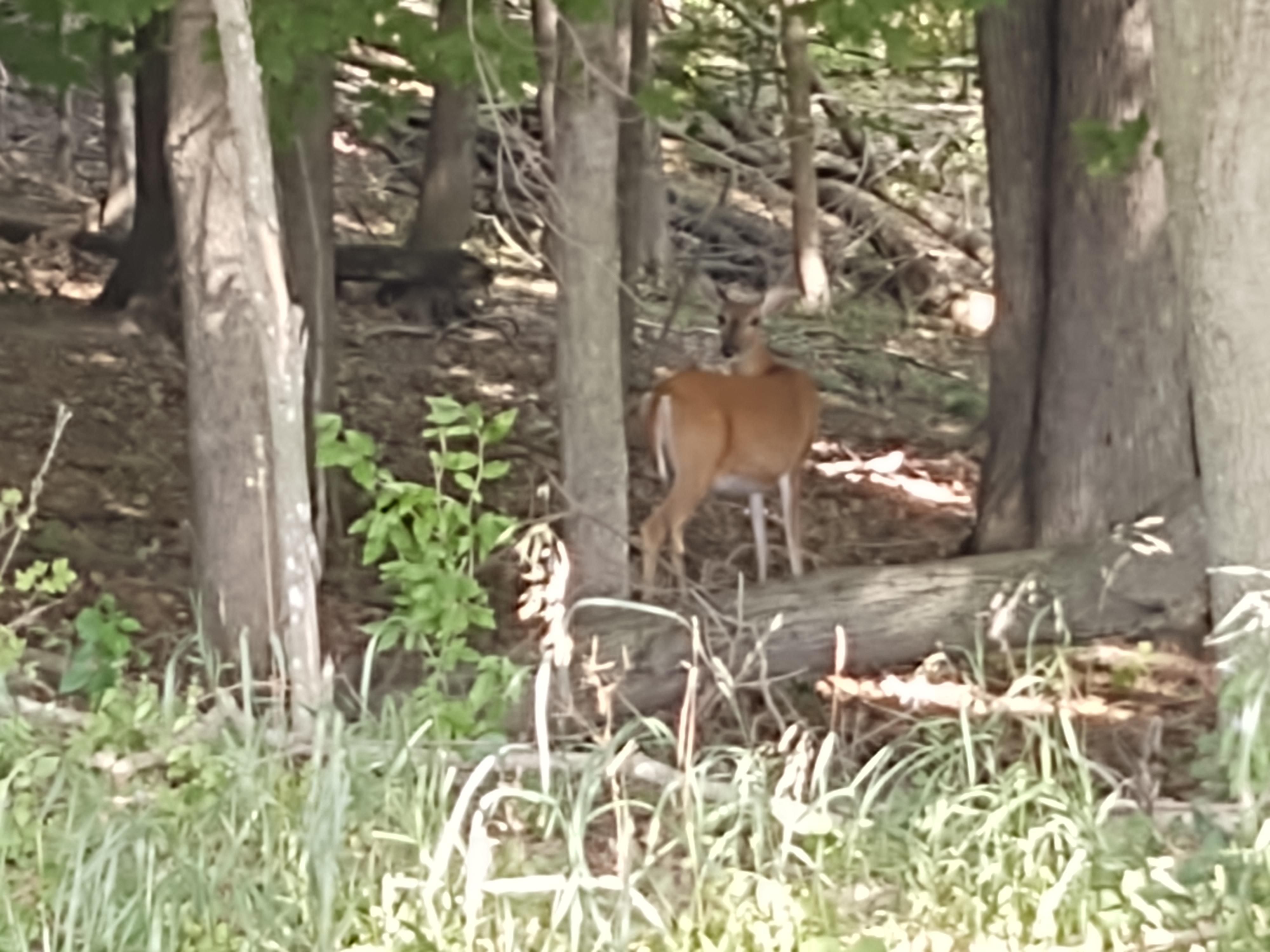 La Valle, Sauk County, WI Recreational Property, Undeveloped Land