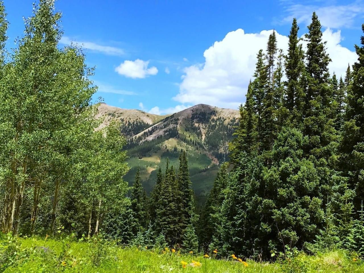 Gunnison, Gunnison County, CO Recreational Property, Timberland