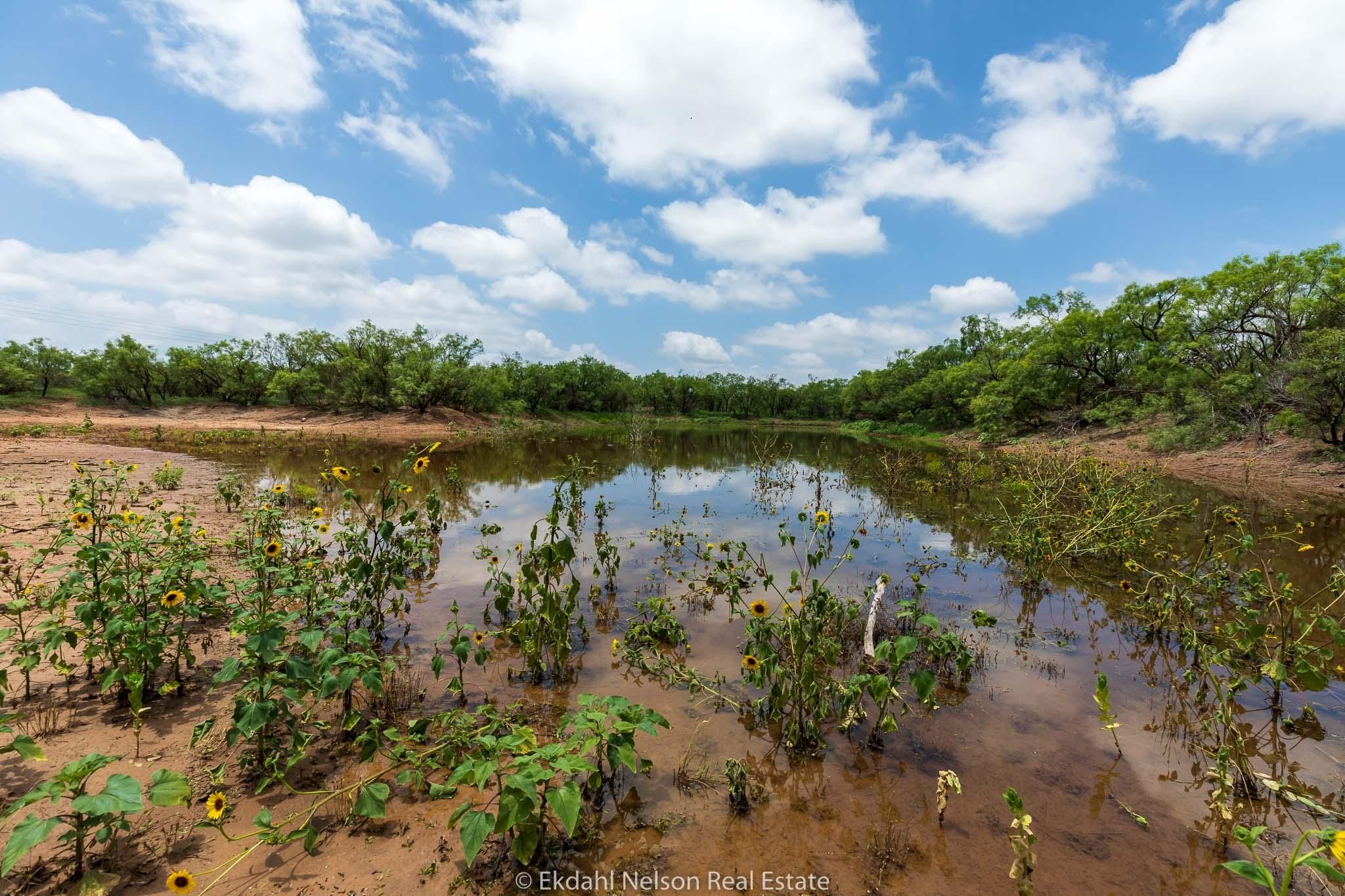 Aspermont, Stonewall County, TX Farms and Ranches, Recreational