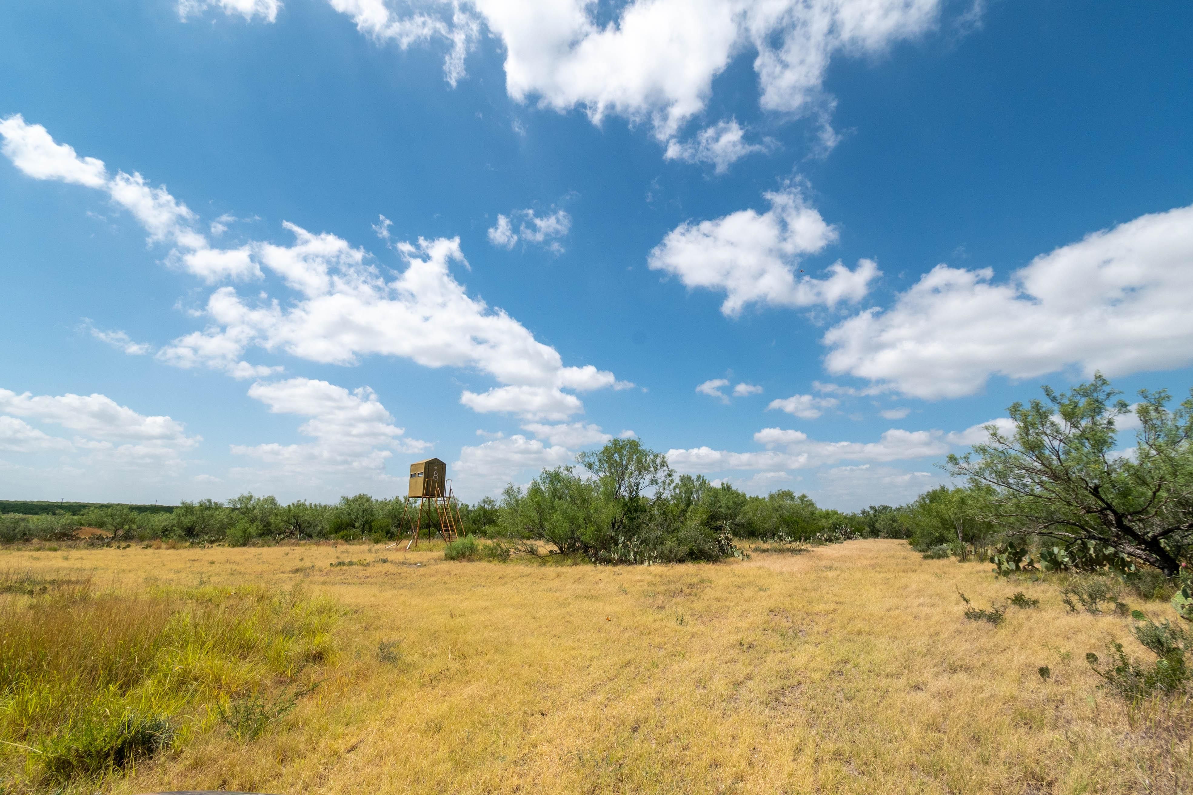 2,335 acres in Encinal, TX, 78019 LandWatch