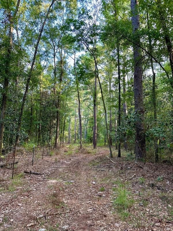 Mill Creek Rd, Andalusia, AL 36421 LandWatch