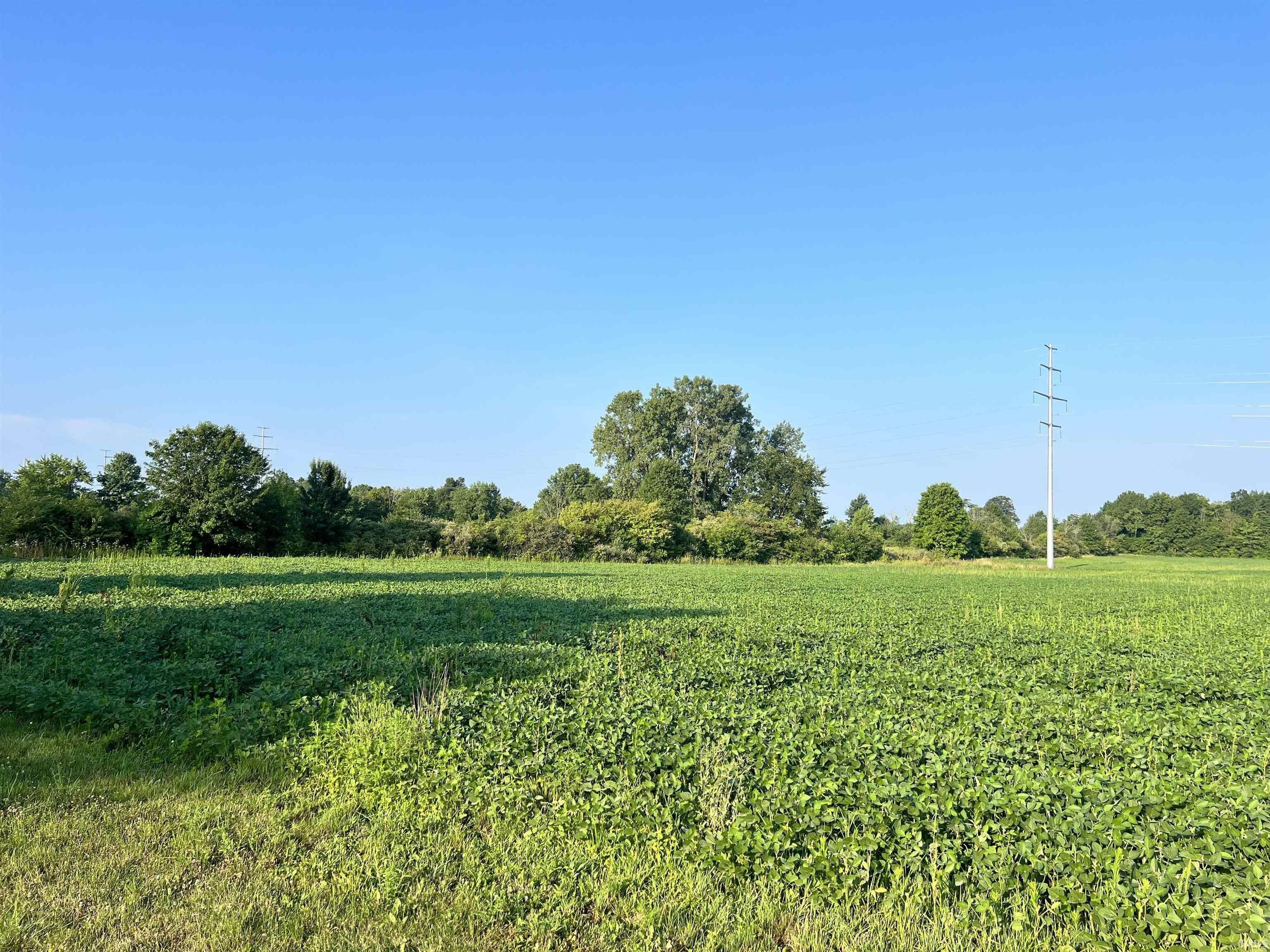 Muncie, Delaware County, IN Undeveloped Land for sale Property ID