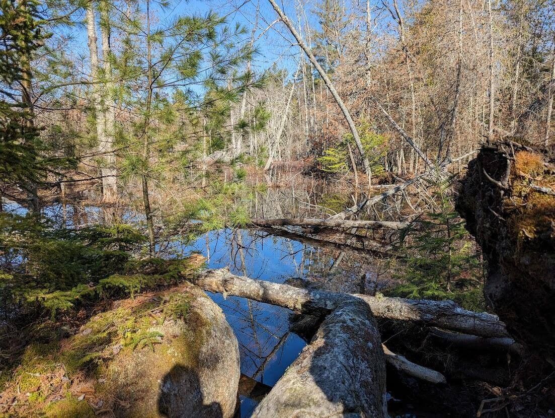 Bucksport, Hancock County, ME Undeveloped Land, Lakefront Property