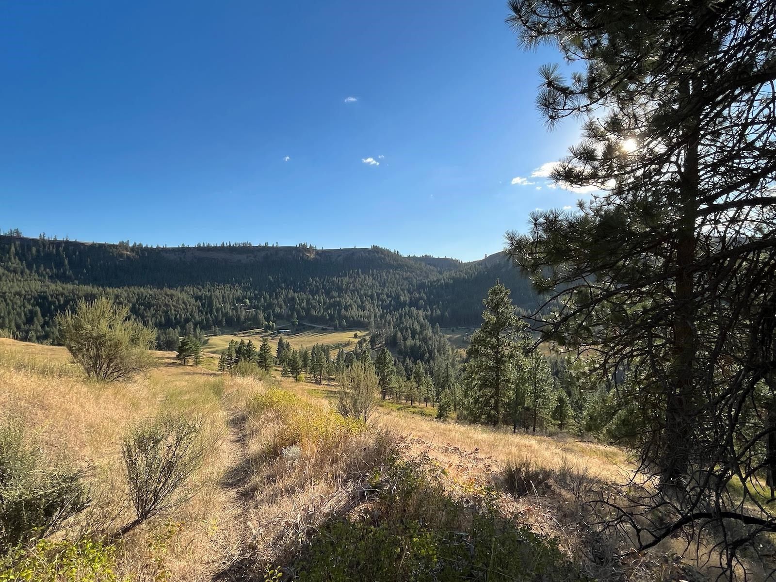 Davenport, Lincoln County, WA Undeveloped Land for sale Property ID