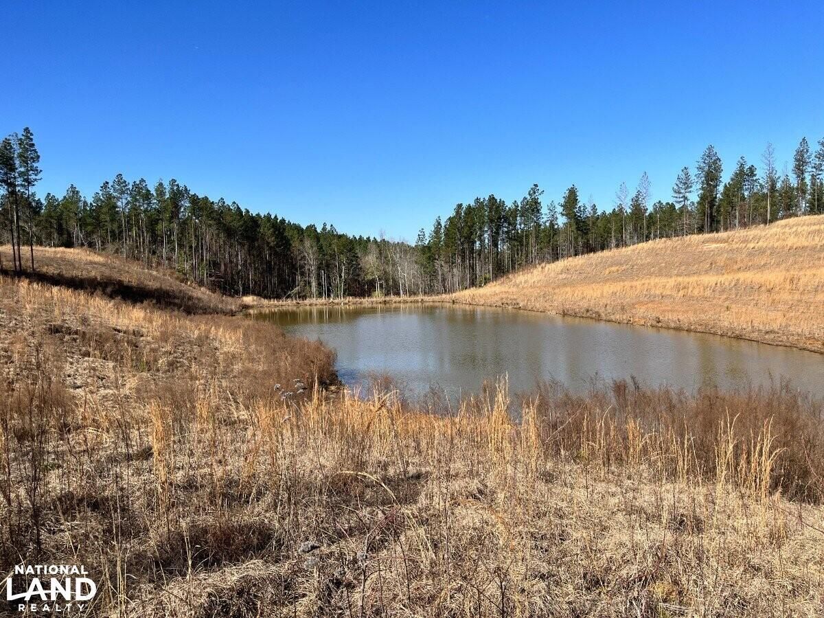 Meridian, Lauderdale County, MS Recreational Property, Lakefront