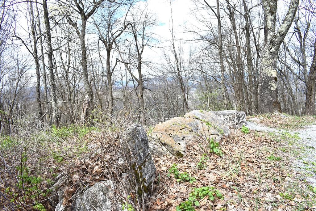 Bluefield, Tazewell County, VA Undeveloped Land for sale Property ID