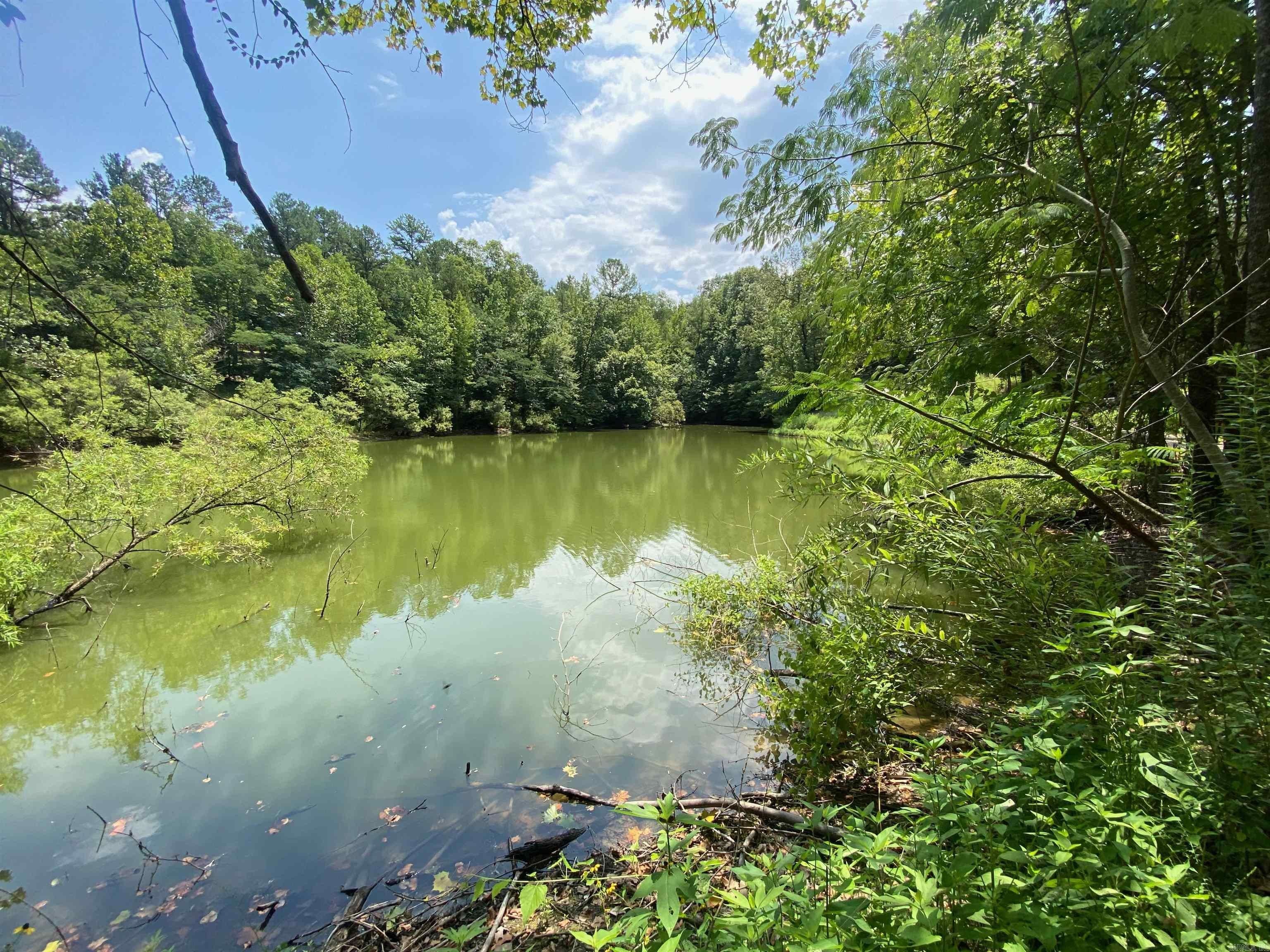 Mount Ida, Montgomery County, AR Undeveloped Land for sale Property ID