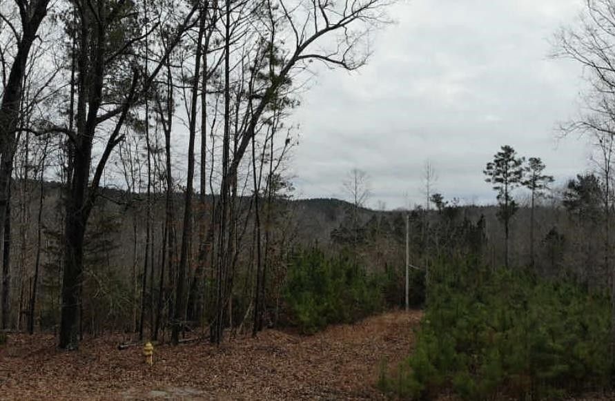 Franklin, Heard County, GA Undeveloped Land for sale Property ID