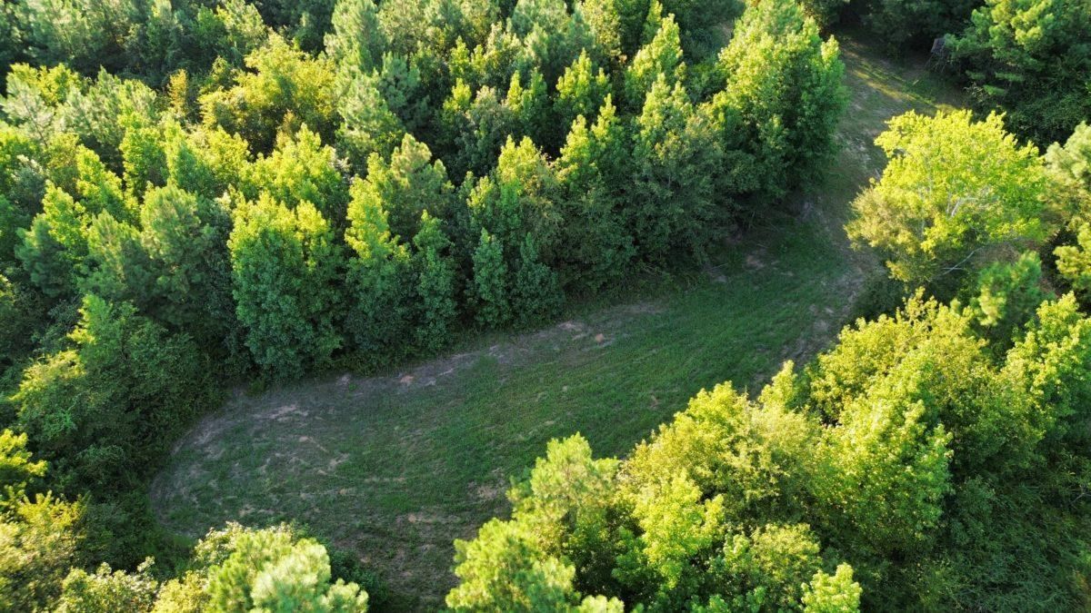 Morton, Scott County, MS Recreational Property, Timberland Property, Hunting Property for sale