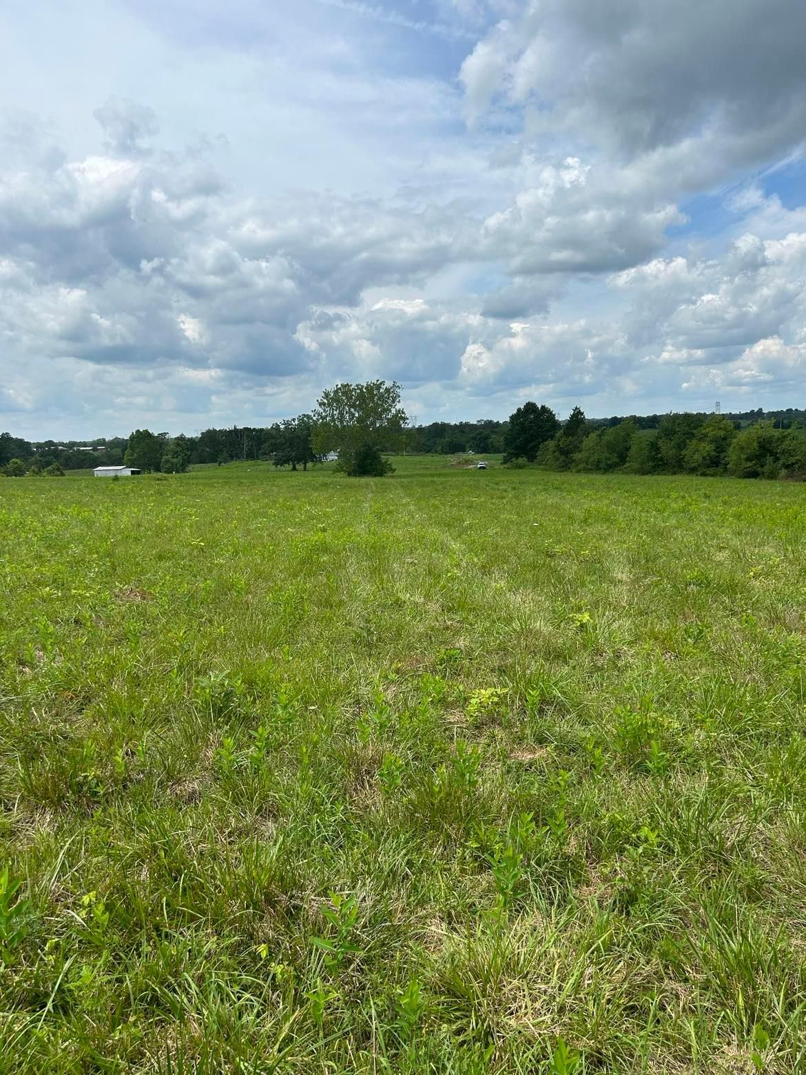 RiboltEpworth Road, Tollesboro, KY 41189 MLS Ribolt 2/1 LandWatch