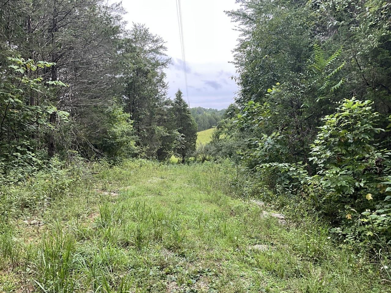 Somerset, Pulaski County, KY Recreational Property, Hunting Property