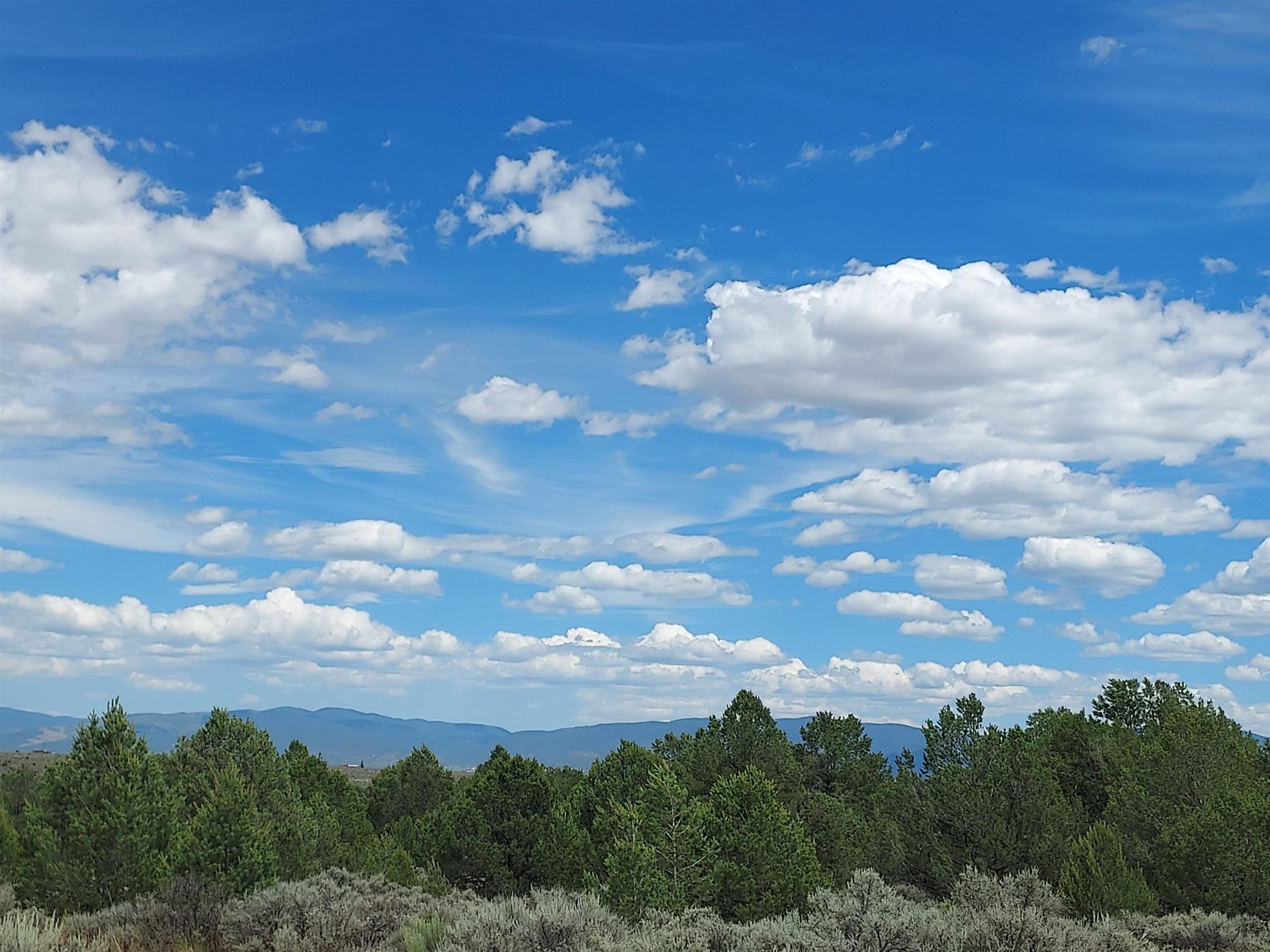 Carson, Taos County, NM Undeveloped Land for sale Property ID