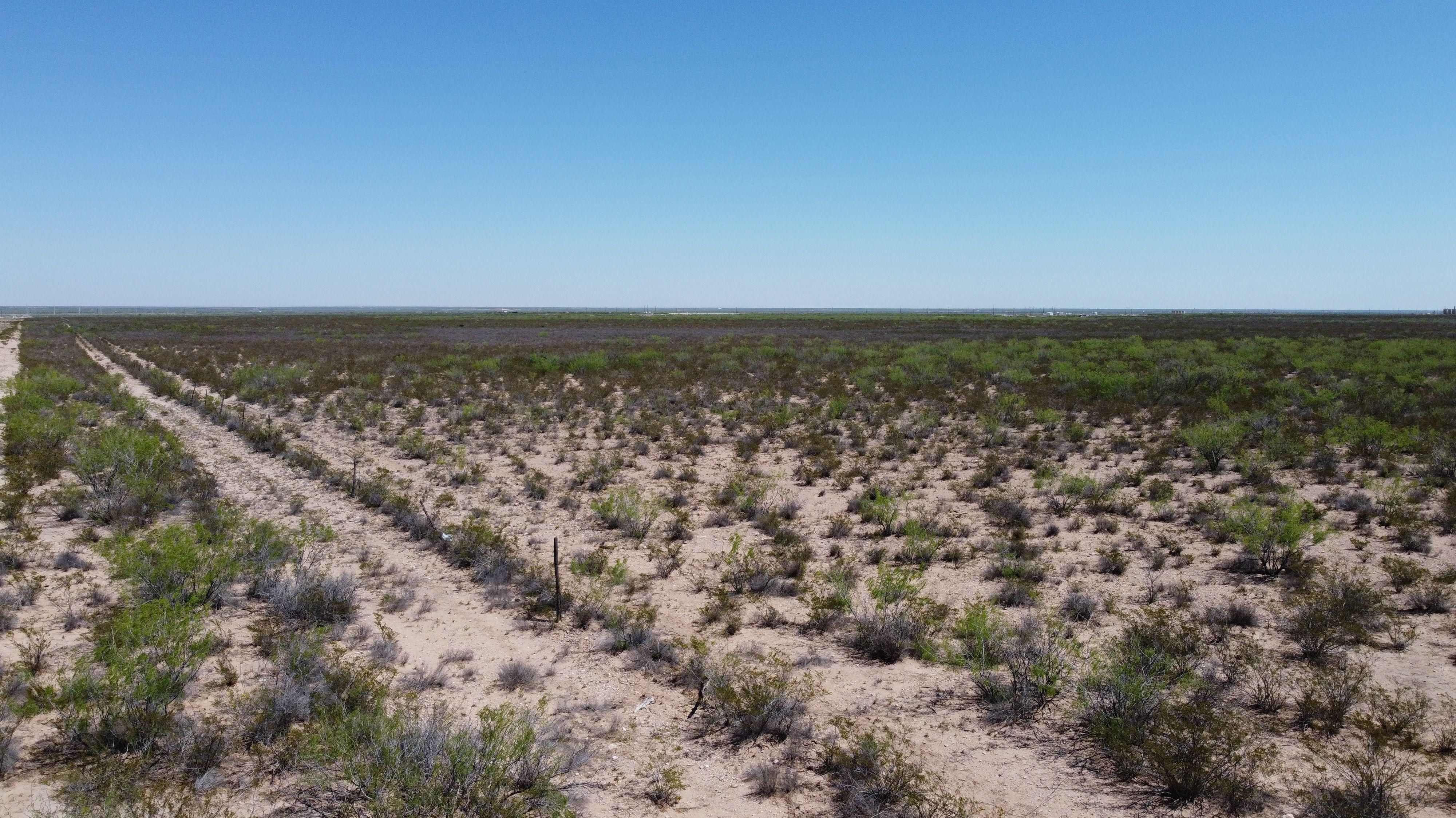 Coyanosa, Pecos County, TX Recreational Property, Undeveloped Land