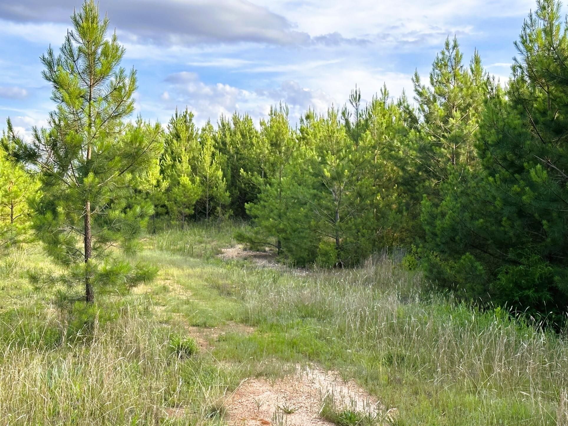 York, York County, SC Recreational Property, Timberland Property for