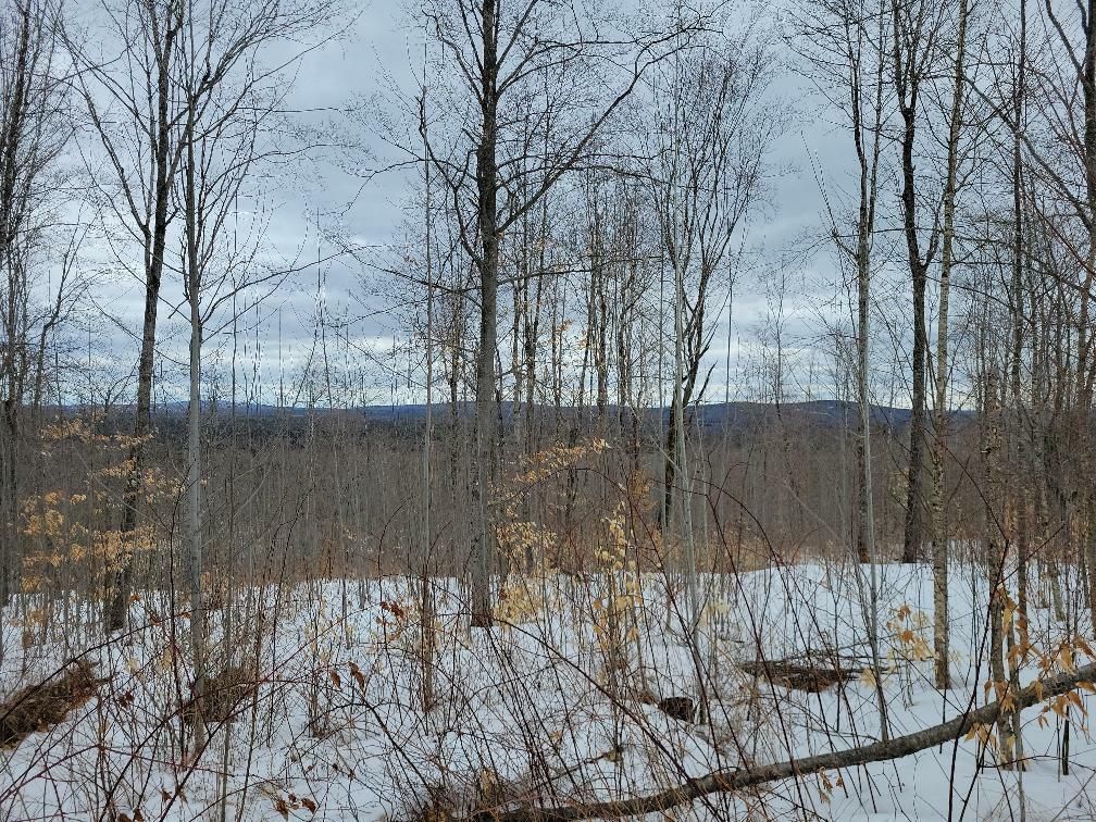 Cornville, Somerset County, ME Recreational Property, Timberland
