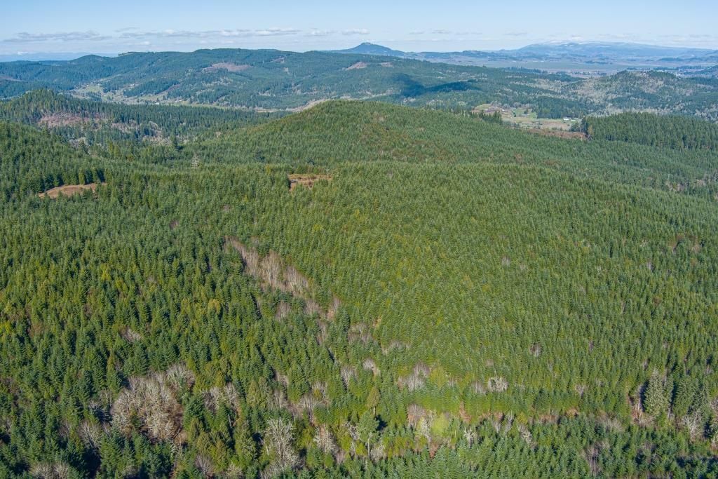 390 acres in Creswell, OR, 97426 LandWatch
