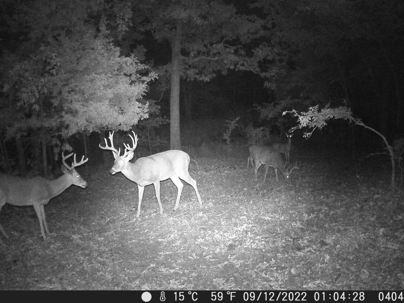 Drumright, Creek County, OK Farms and Ranches, Recreational Property
