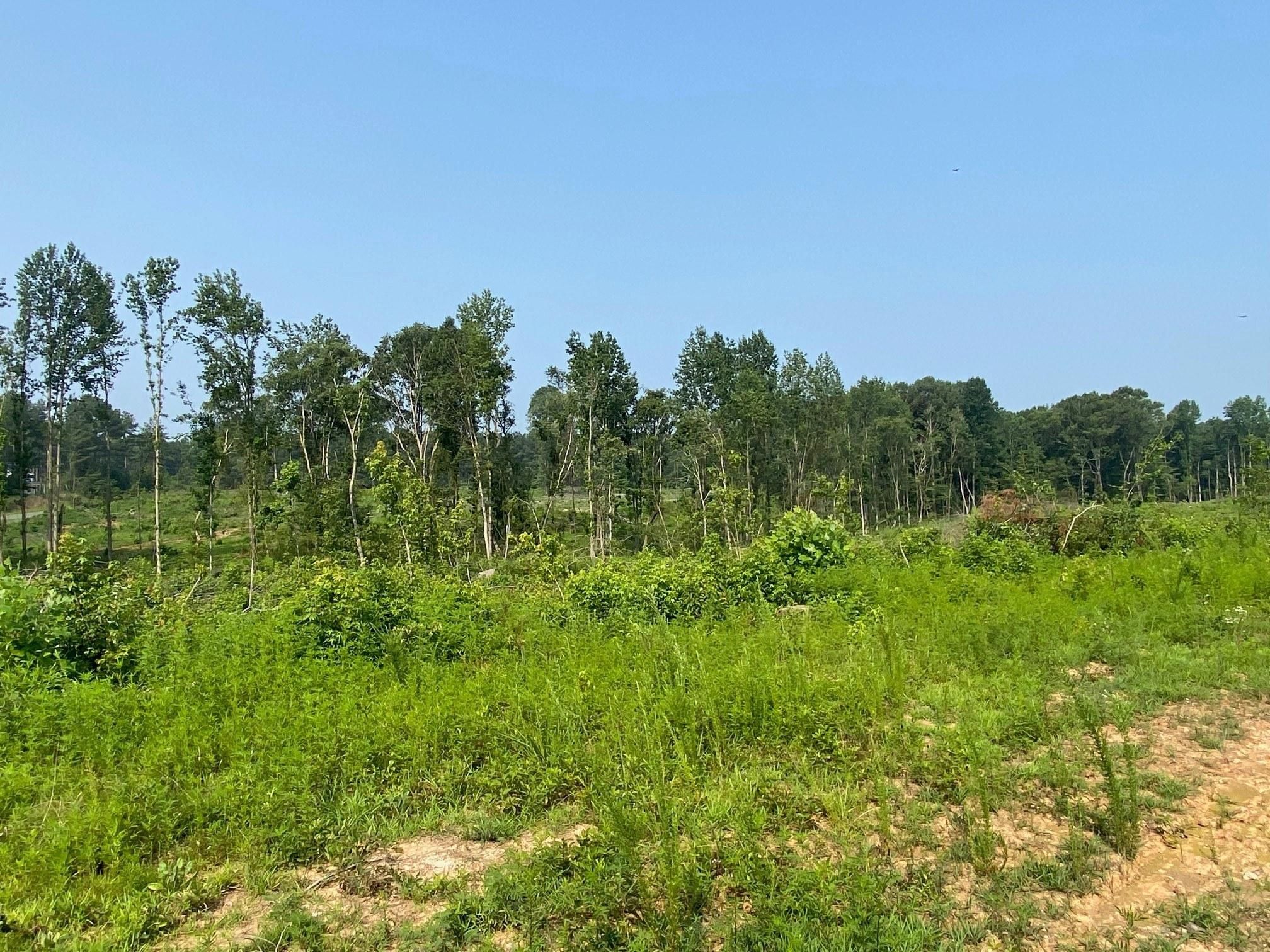 13.32 acres in Star, NC, 27356 LandWatch