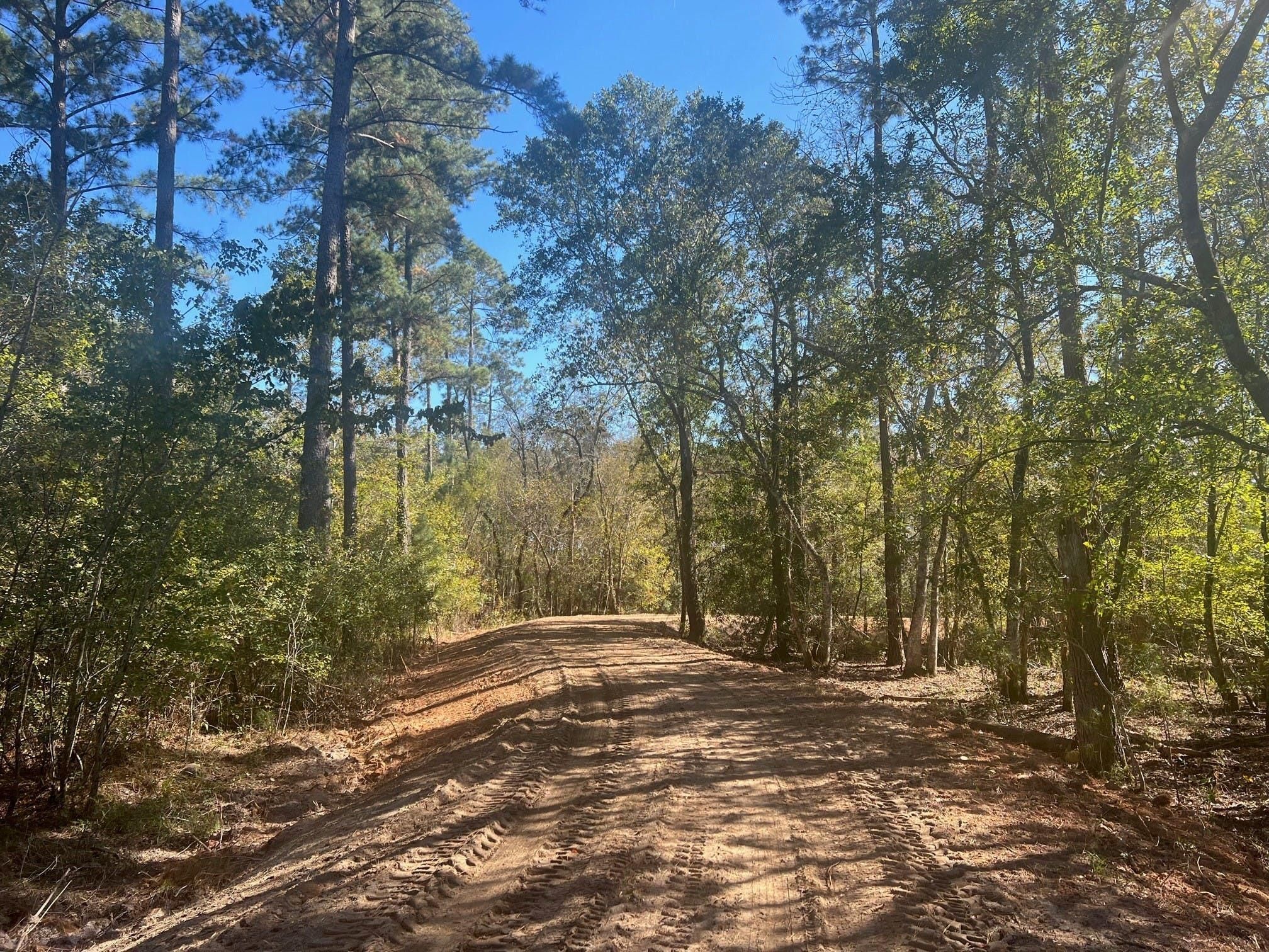 Rebecca, Turner County, GA Recreational Property, Hunting Property for