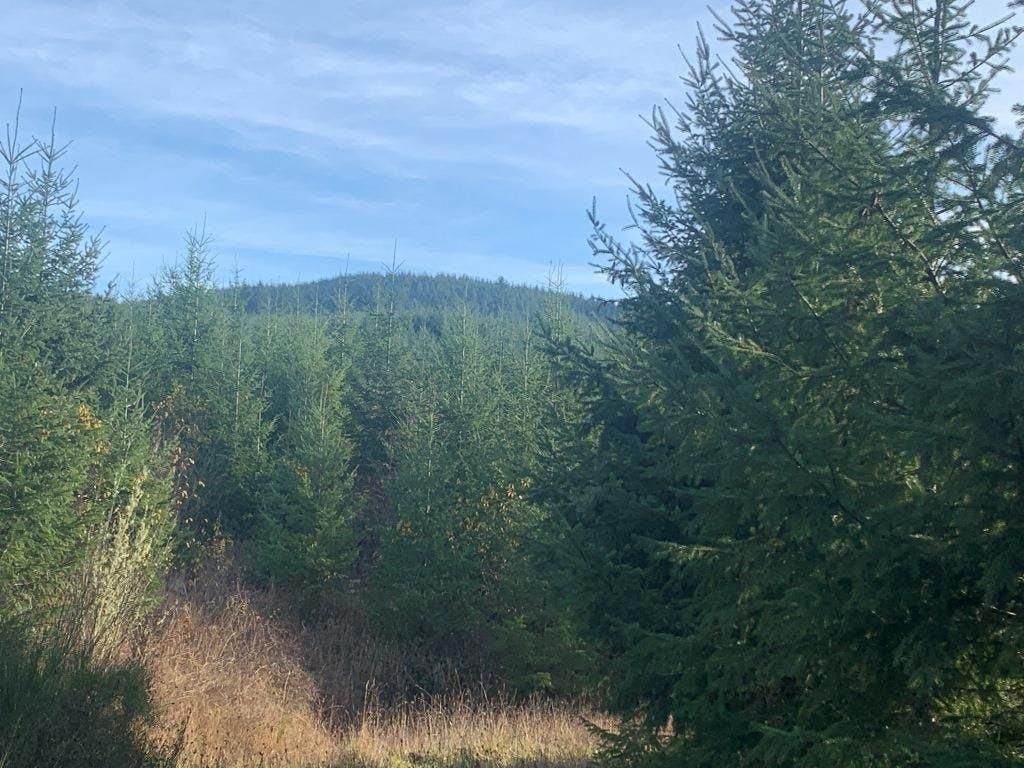 Acme, Lane County, OR Commercial Property for sale Property ID