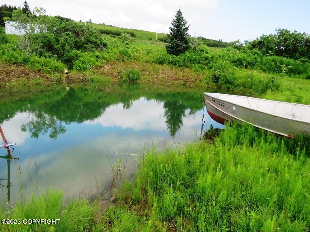 Homer, Kenai Peninsula Borough, AK Undeveloped Land, Lakefront Property