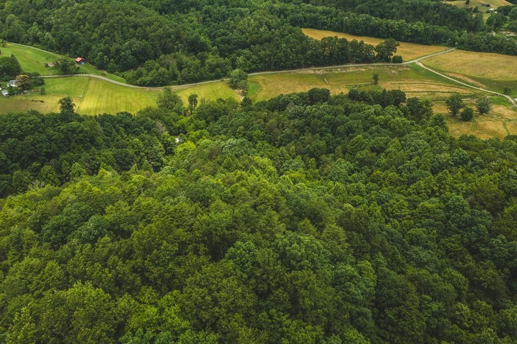 Abingdon, Washington County, VA Farms and Ranches for sale Property ID