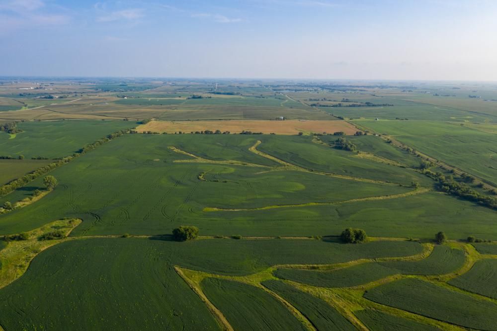 Lenox, Adams County, IA Farms and Ranches for sale Property ID