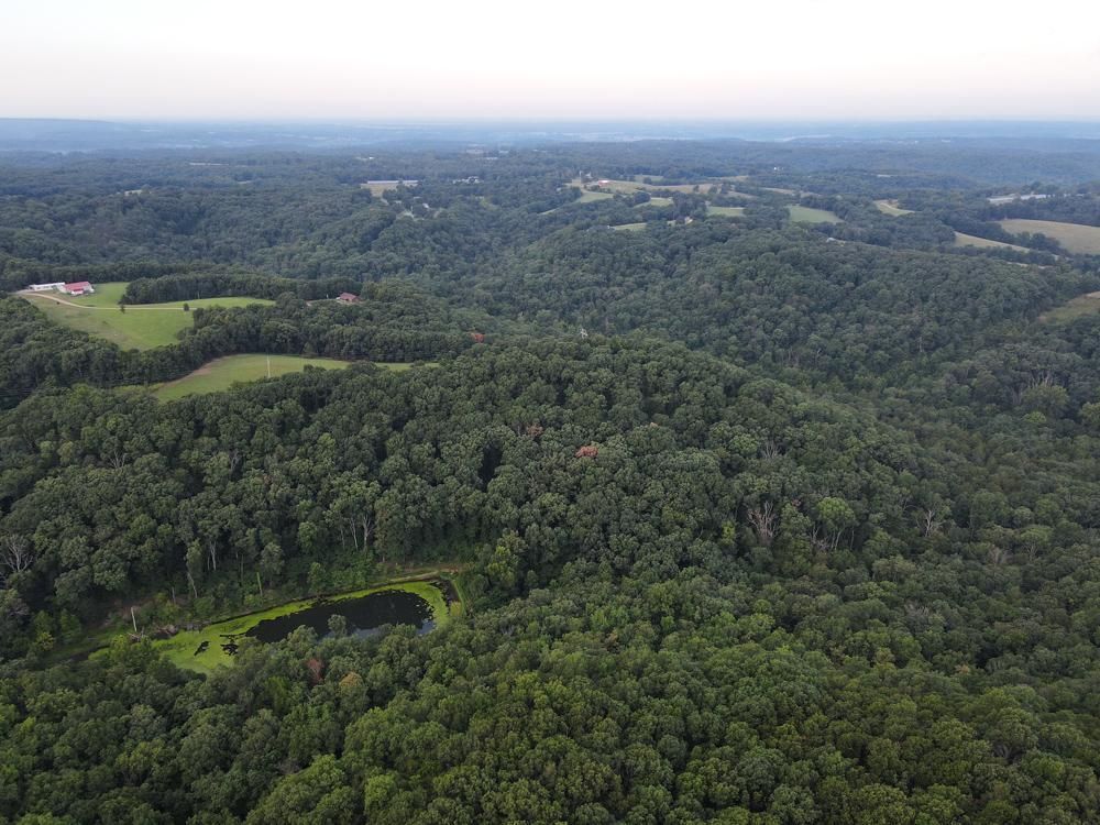 Washburn, Barry County, MO Recreational Property, Timberland Property, Hunting Property for sale