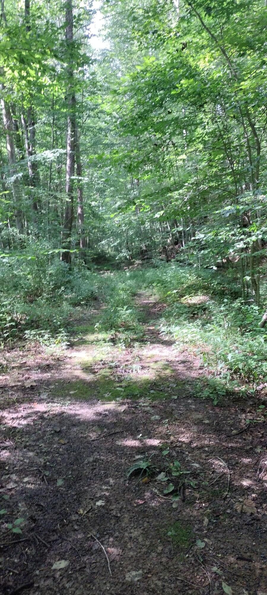 Pennington Gap, Lee County, VA Farms and Ranches for sale Property ID 417311598 LandWatch